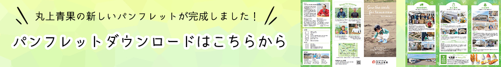 パンフレットダウンロードはこちら